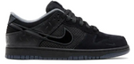 Nike Dunk Low Ducks of a Feather Black University of Oregon PE